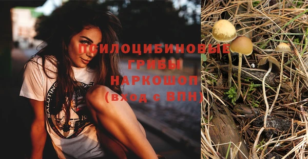стафф Балахна